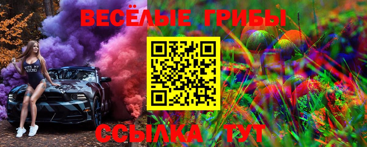 Псилоцибиновые грибы Psilocybe  Вход с VPN  Томск 