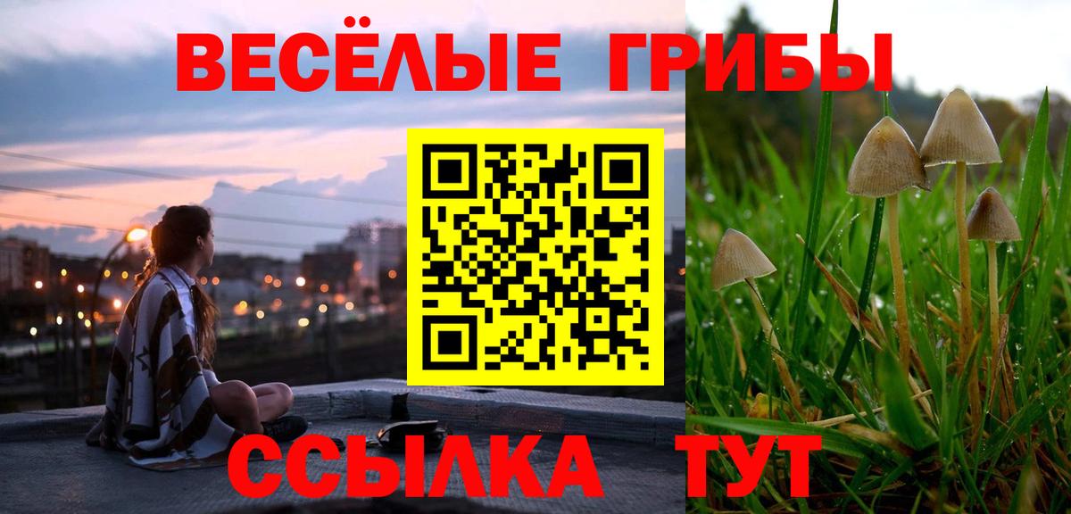 Галлюциногенные грибы Psilocybine cubensis Томск