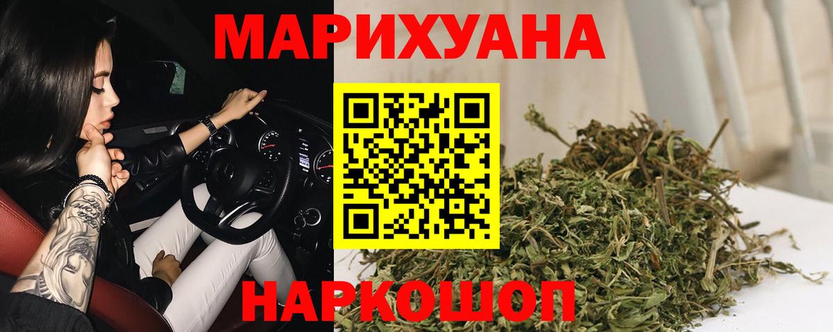 Бошки Шишки планчик Томск